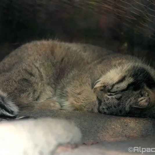 Фотография Ото в Царстве Животных Кобе