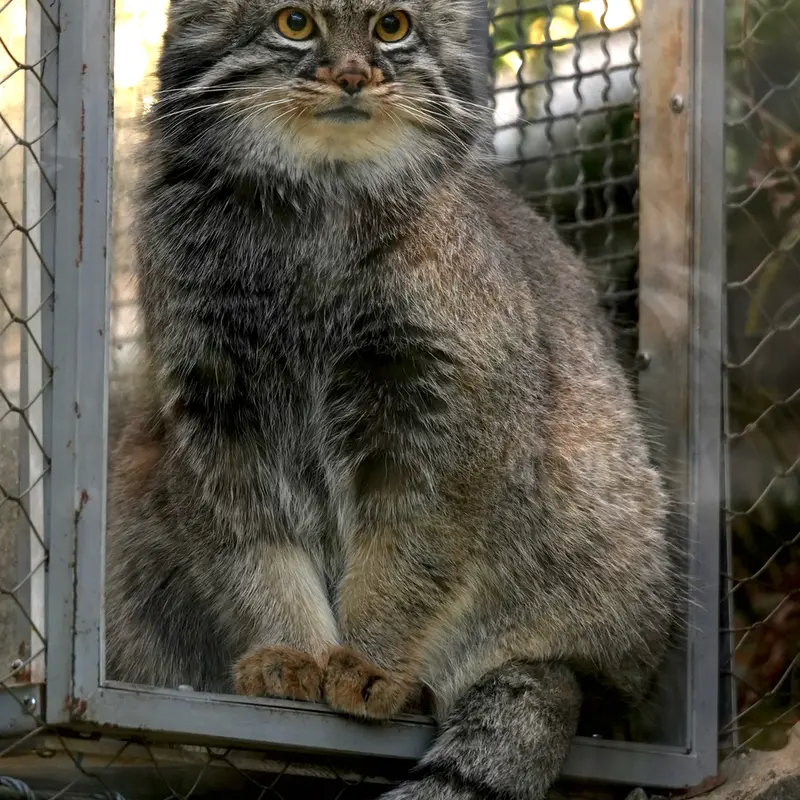 Фотография Мей в Царстве Животных Кобе