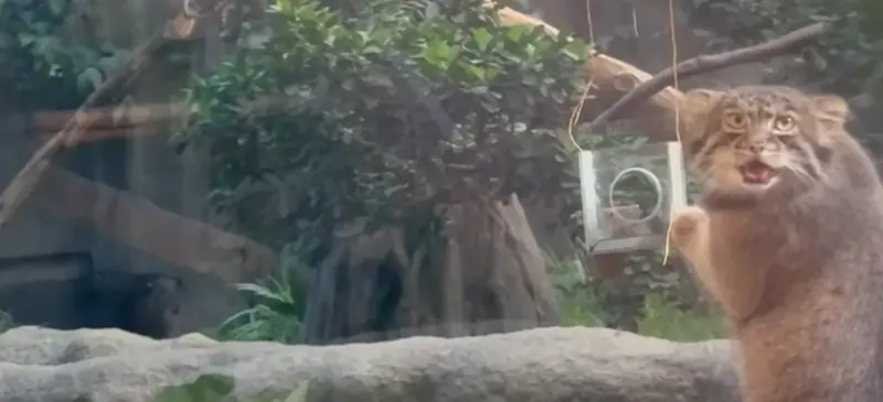 Фотография Нара