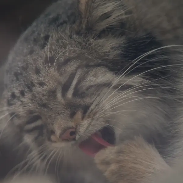 Фотография Ото в Царстве Животных Кобе