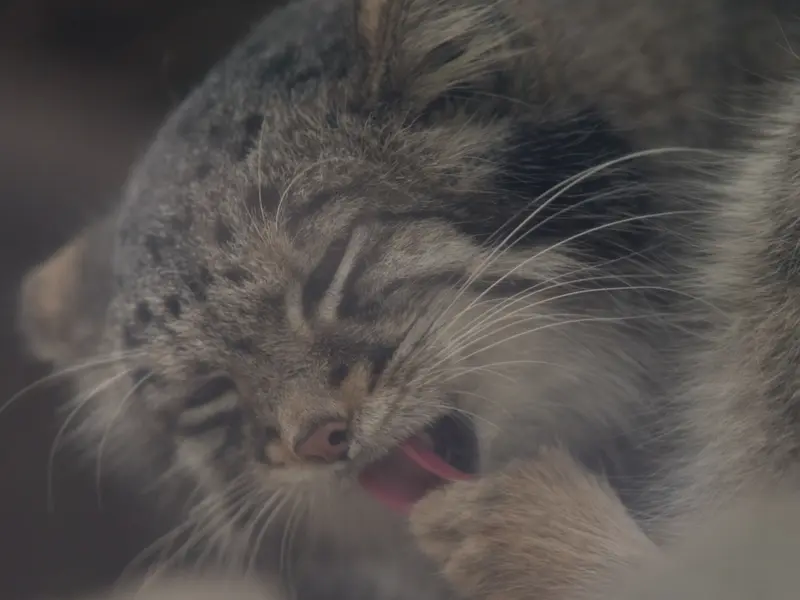 Фотография Ото в Царстве Животных Кобе