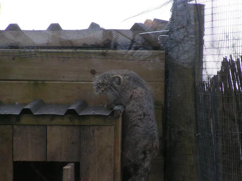 Фотография Алтая в Лэйклэнде Вайлдлайф Оазисе