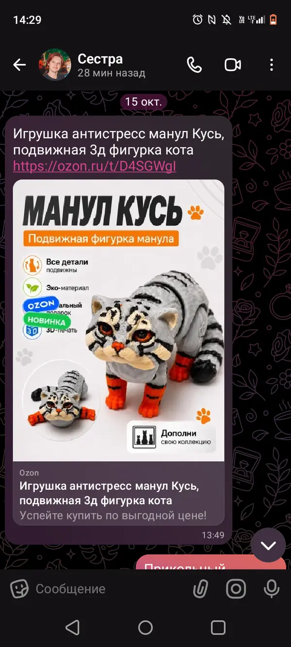 Фотография с манулом