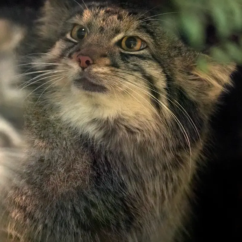 Фотография Ото в Царстве Животных Кобе