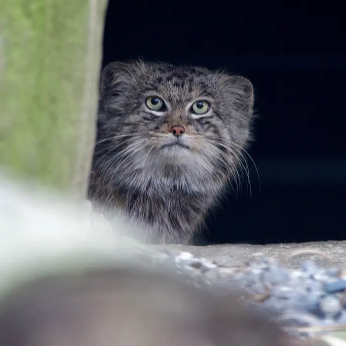 Фотография Плутона в Остравском Зоопарке