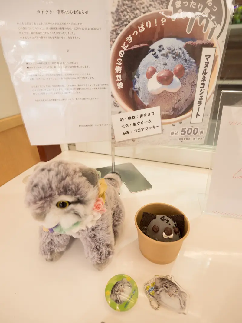 Фотография с манулом в Зоопарке Ногеяме