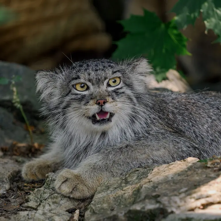 Фотография Ариуны в Зоопарке Брно