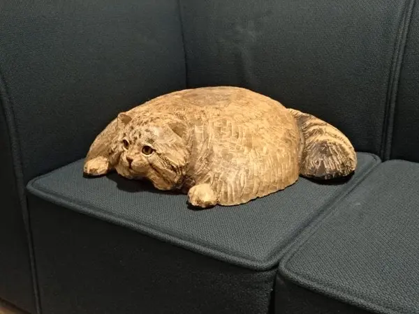 Фотография Льва