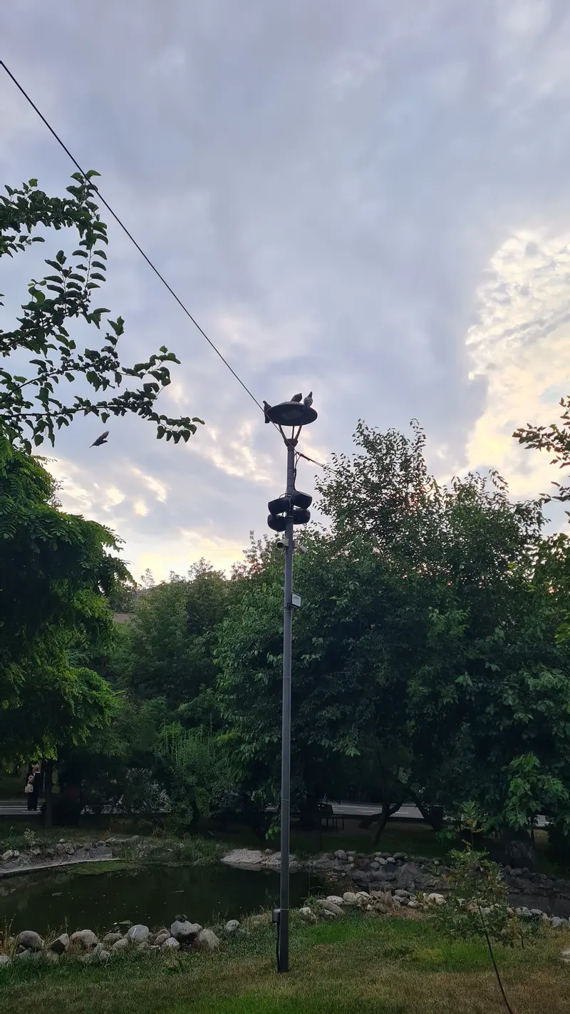 Фотография с манулом