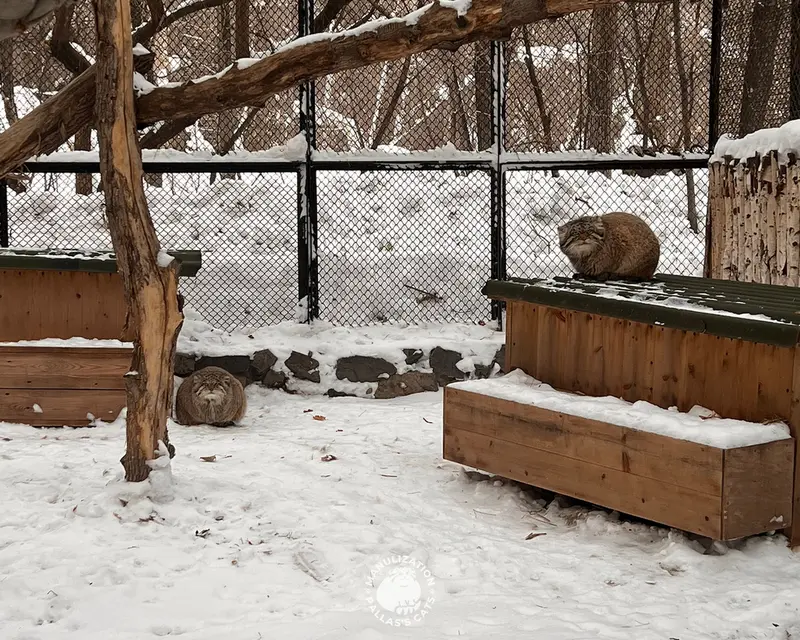 Фотография Мии и Жоры в Новосибирском Зоопарке