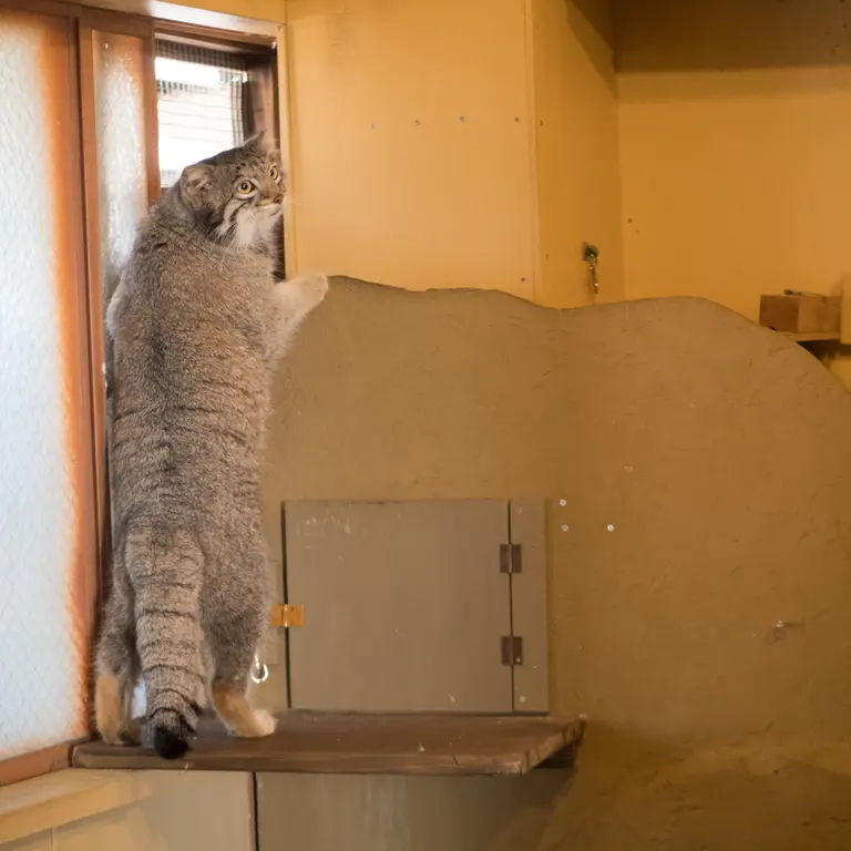 Фотография Ото в Детском зоопарке Сайтама