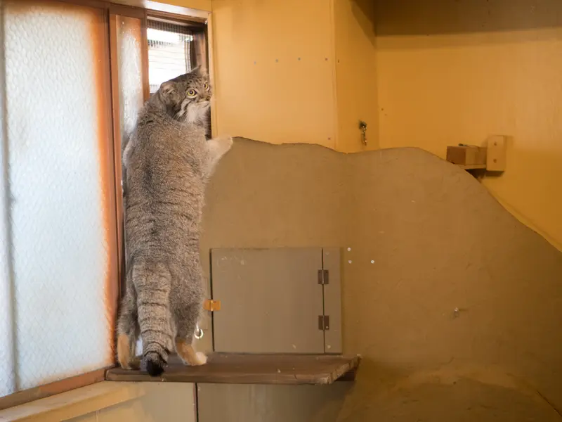 Фотография Ото в Детском зоопарке Сайтама