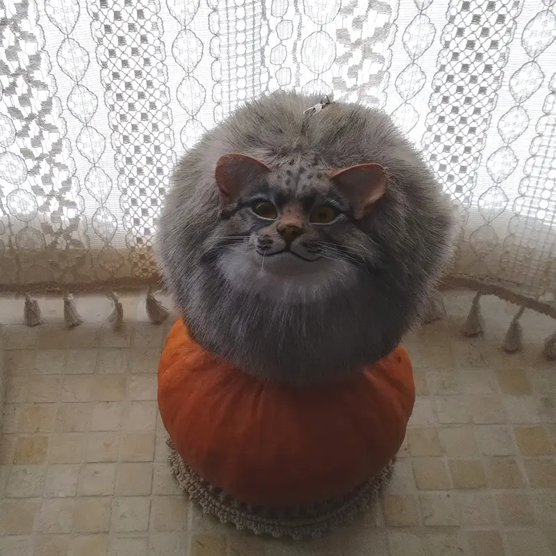 Фотография с манулом