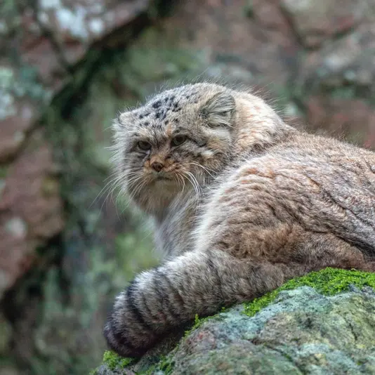 Фотография Томаса О’Мэлли в Норденс Арк