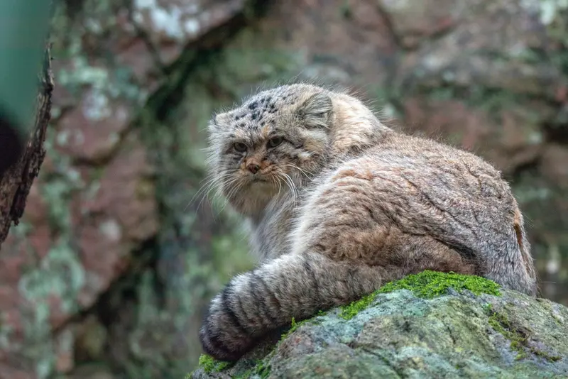 Фотография Томаса О’Мэлли в Норденс Арк