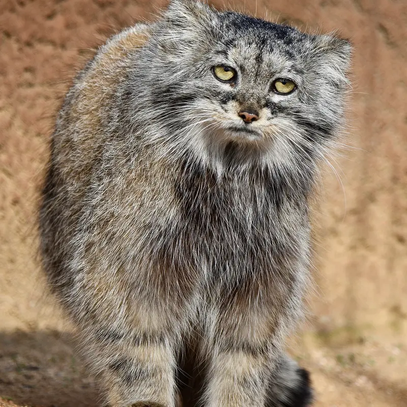 Фотография Принцессы в Пражском Зоопарке