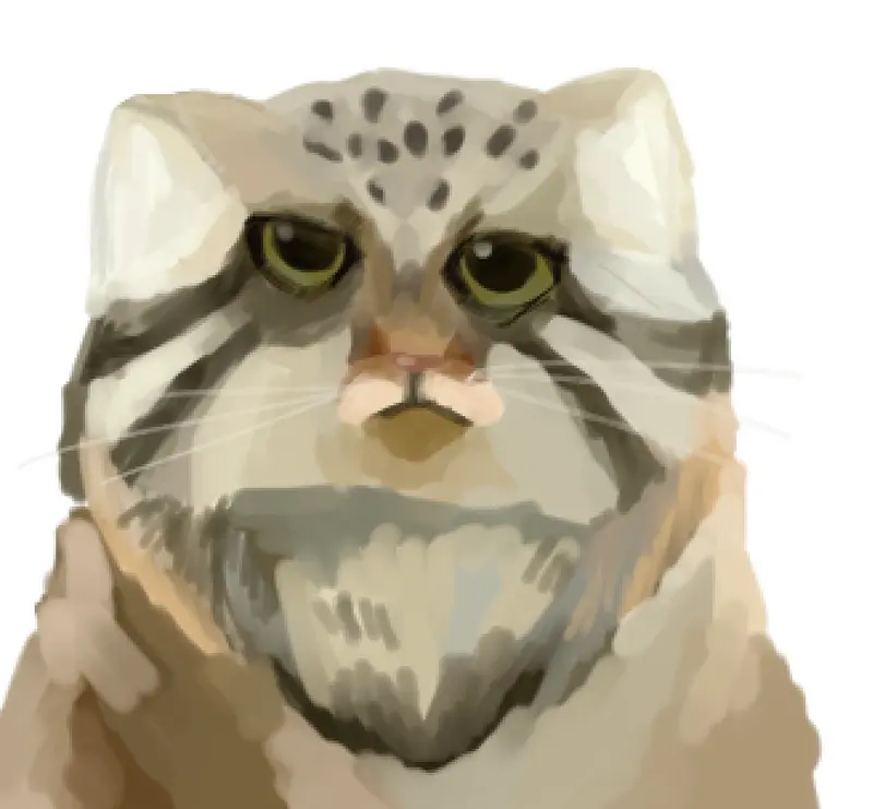 Фотография Томаса О’Мэлли