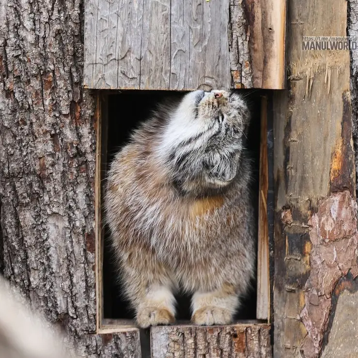 Фотография Кая в Зоопарке Красная река