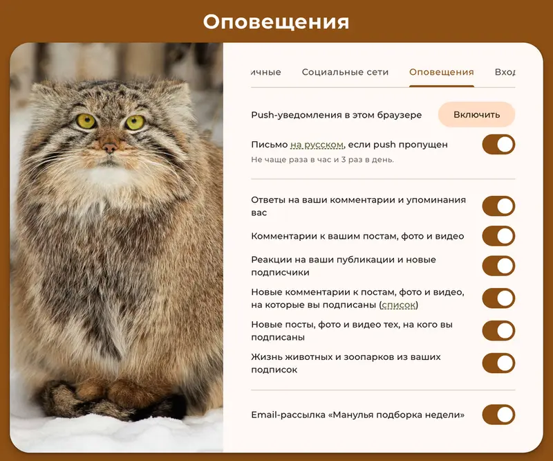Фотография с манулом
