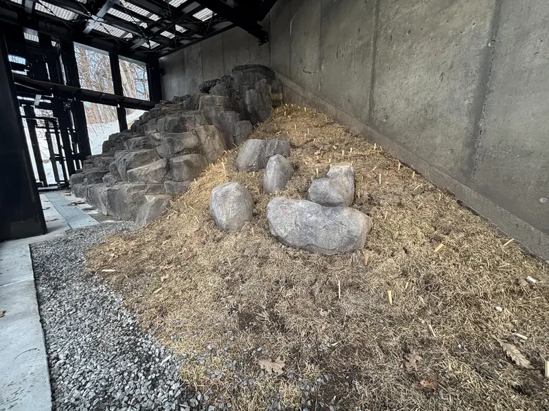 Фотография с манулом в Зоопарке Асахияма