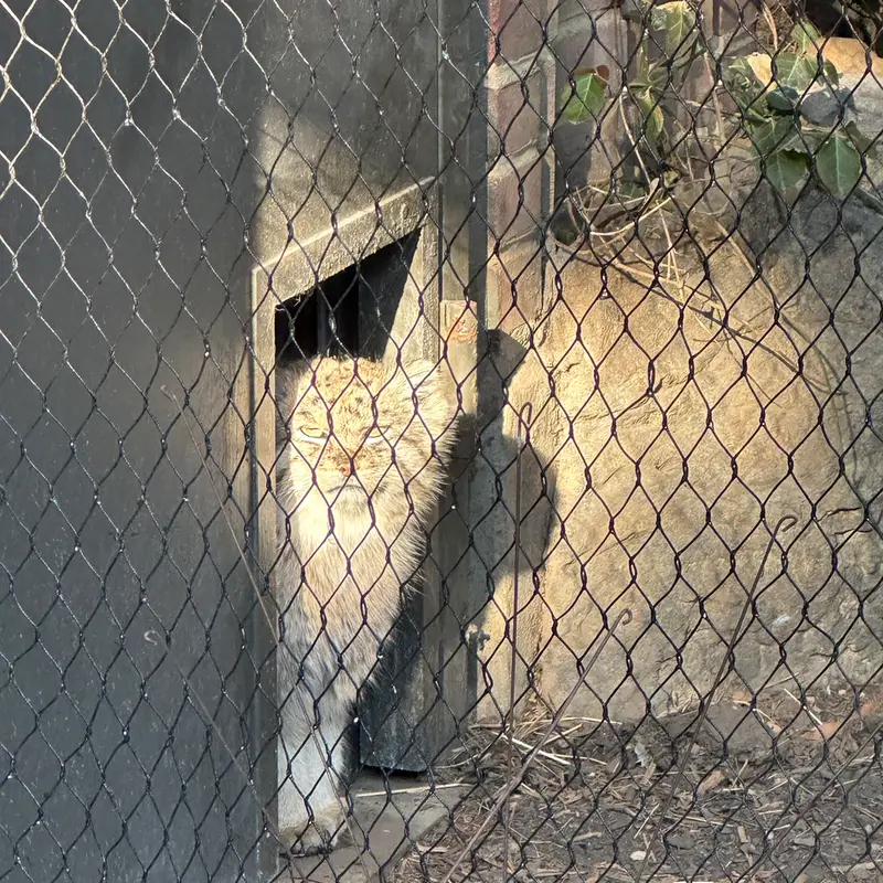 Фотография Бату в Зоопарке Проспект-парка