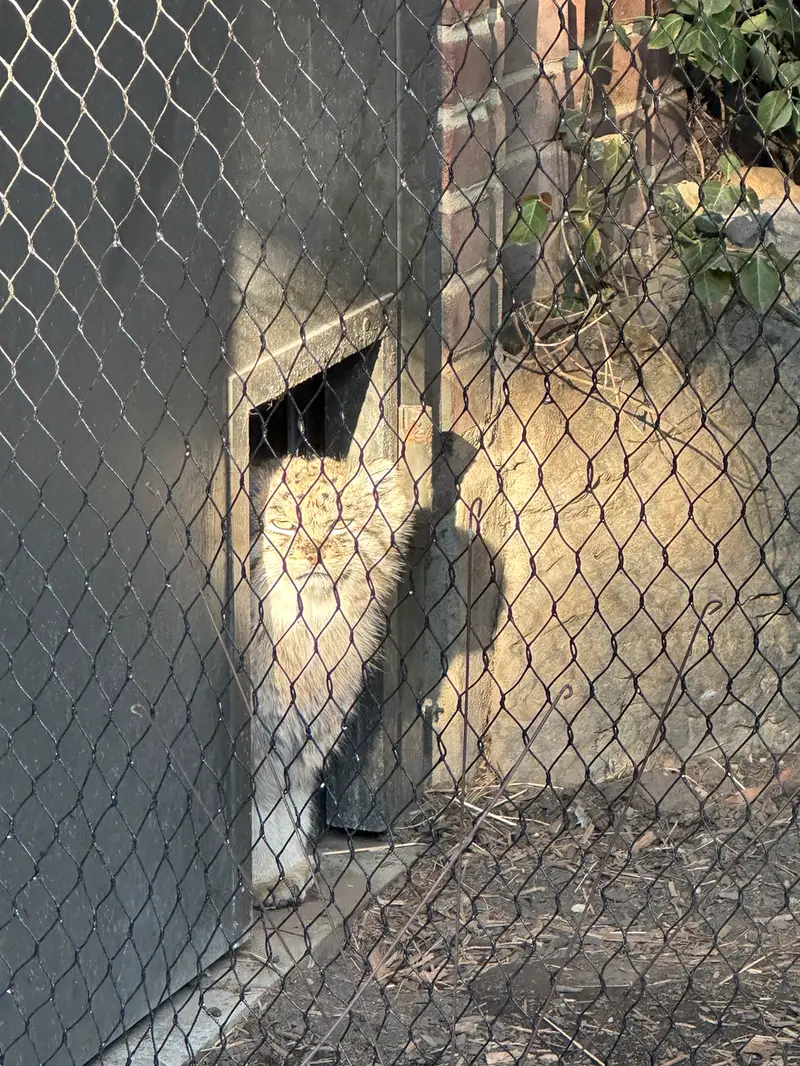 Фотография Бату в Зоопарке Проспект-парка