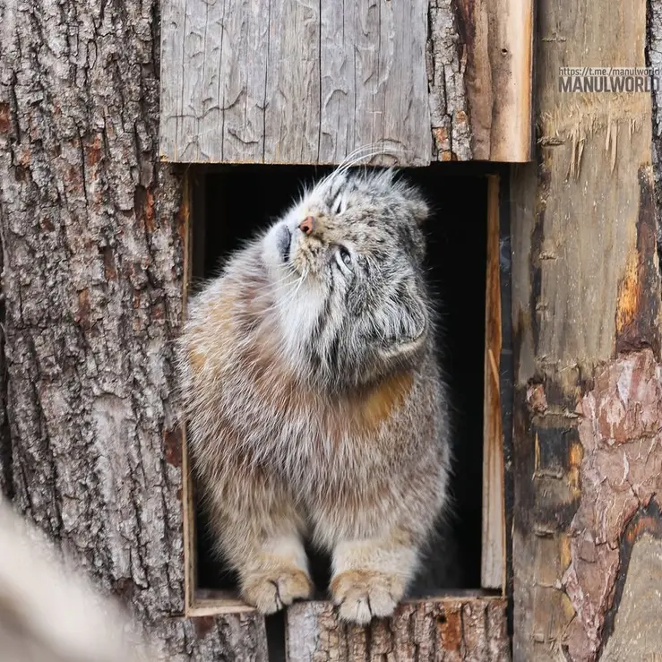 Фотография Кая в Зоопарке Красная река