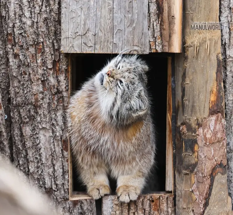 Фотография Кая в Зоопарке Красная река