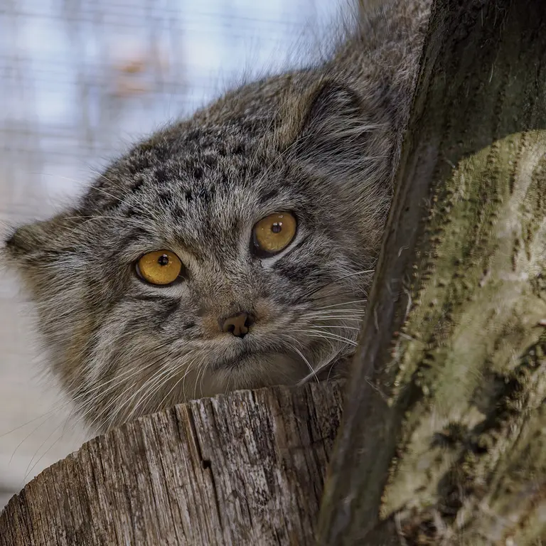 Фотография Ариуны в Зоопарке Брно