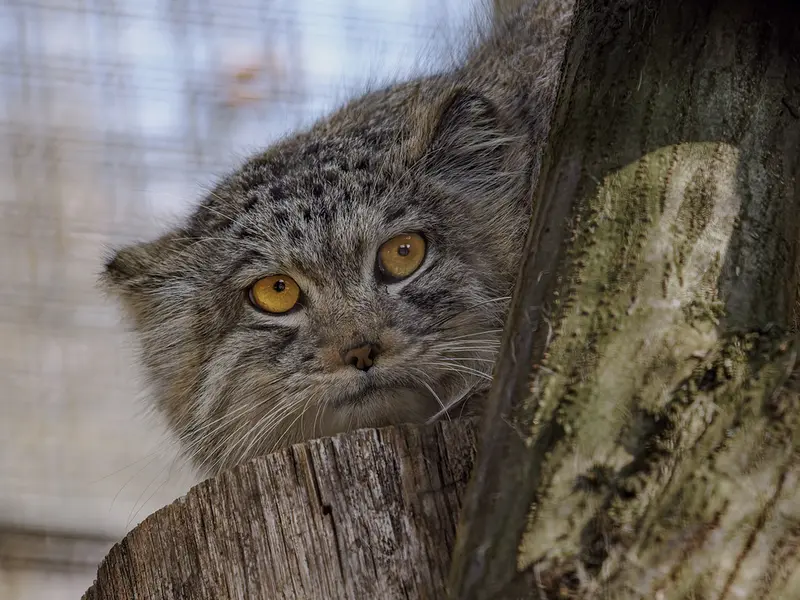 Фотография Ариуны в Зоопарке Брно