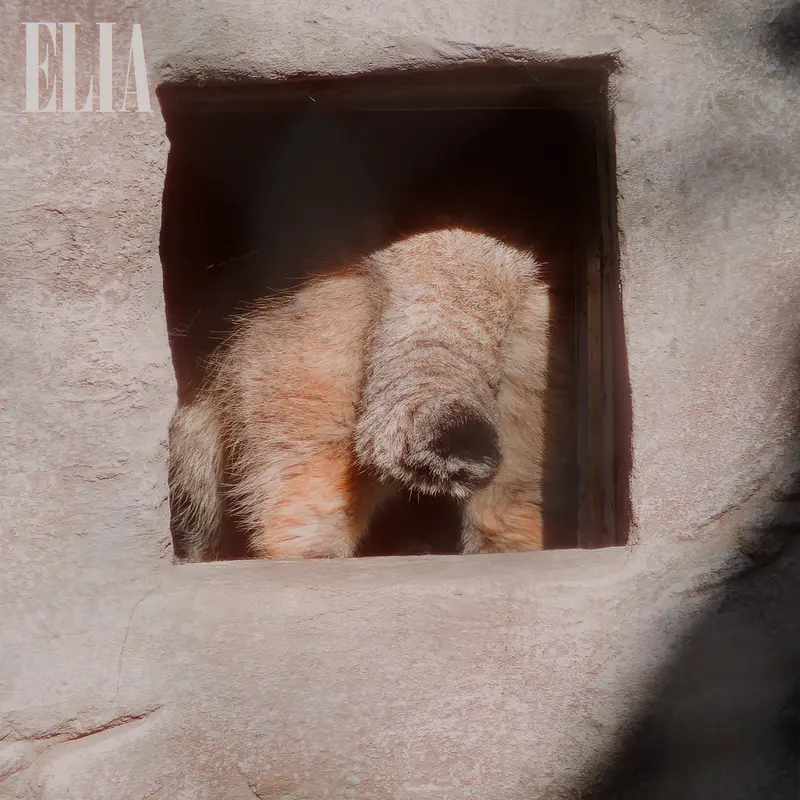 Фотография Олафа в Зоопарке Калгари / Институте Уайлдере