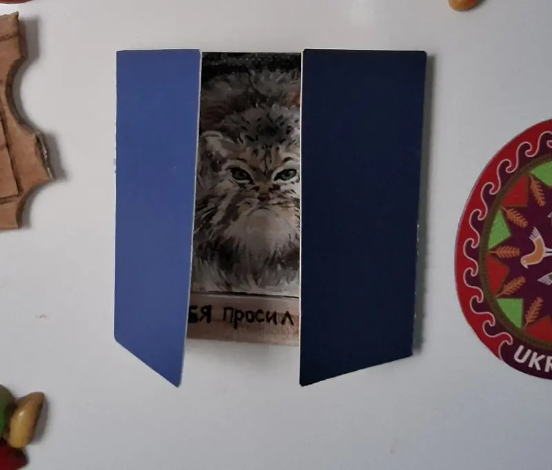 Фотография с манулом