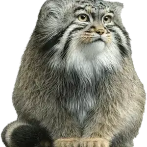 Фотография Караганды в Бингемтонском зоопарке в парке Росс