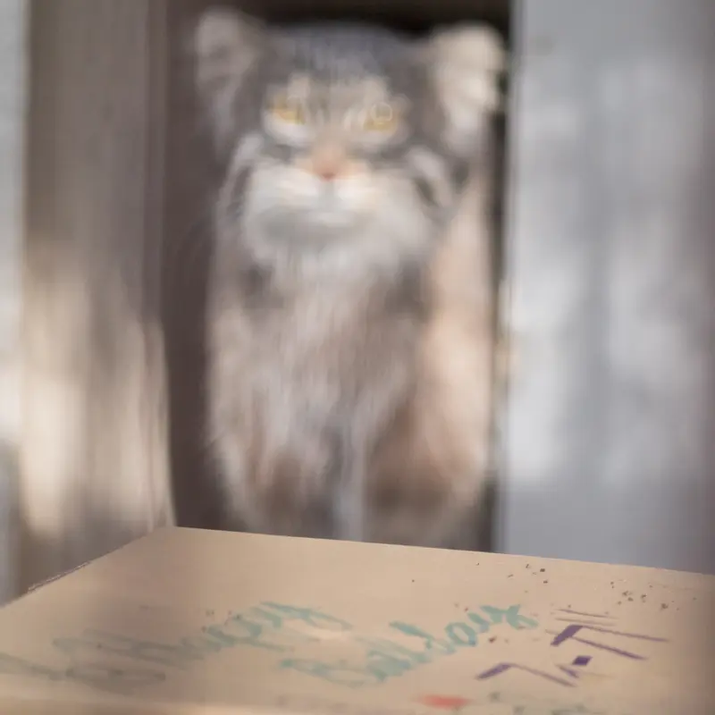 Фотография Фиги в Зоопарке Ногеяме