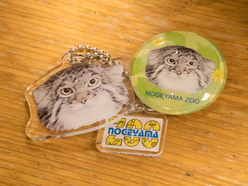 Фотография Фиги в Зоопарке Ногеяме