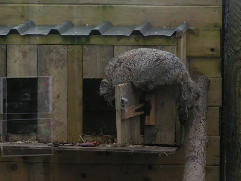 Фотография Алтая в Лэйклэнде Вайлдлайф Оазисе