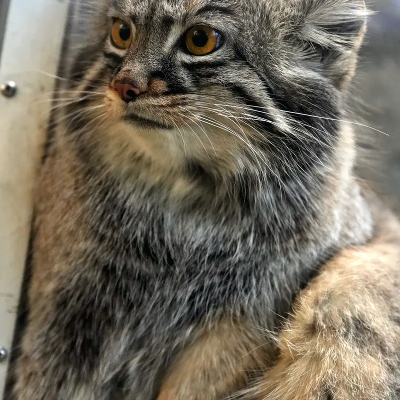 Фотография Мей в Царстве Животных Кобе