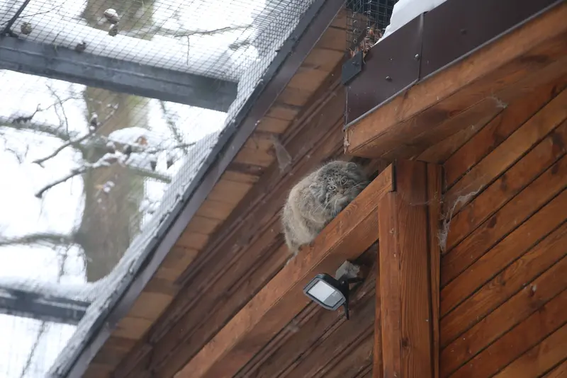 Фотография Улы в Гданском Зоопарке