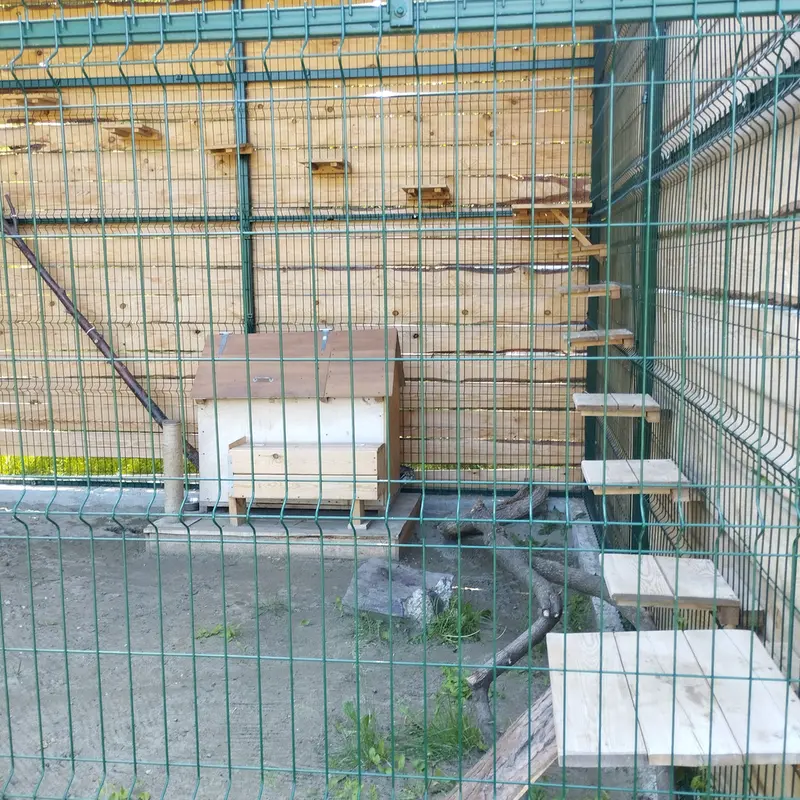 Фотография Чипа в Барнаульском Зоопарке «Лесная сказка»