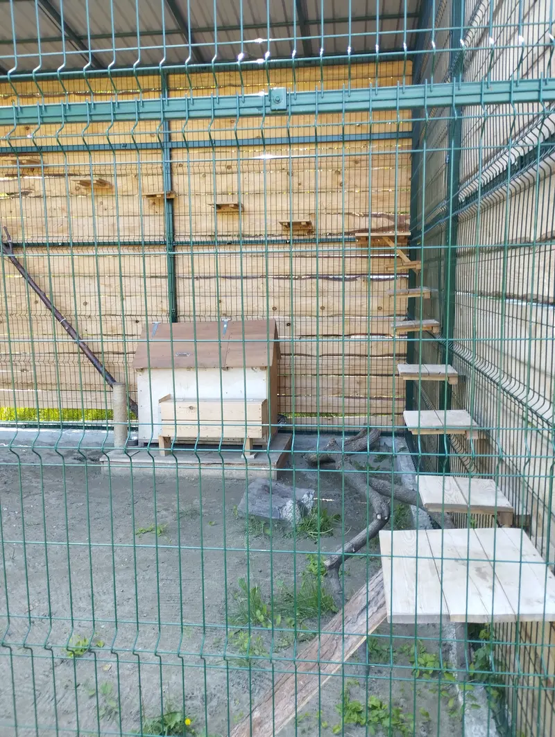 Фотография Чипа в Барнаульском Зоопарке «Лесная сказка»