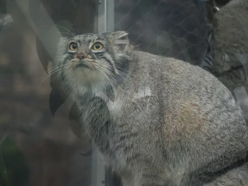 Фотография Мей в Царстве Животных Кобе