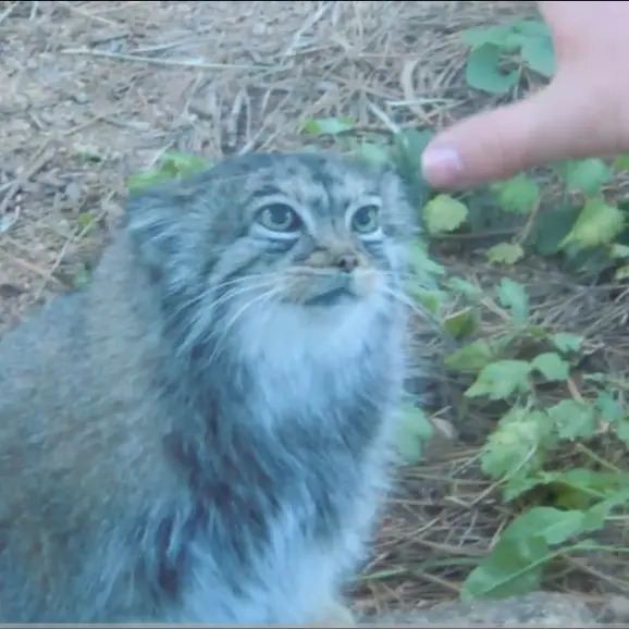 Фотография Нади в Горном Зоопарке Шайенн