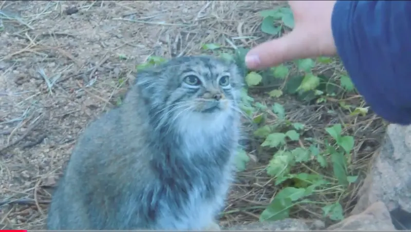 Фотография Нади в Горном Зоопарке Шайенн