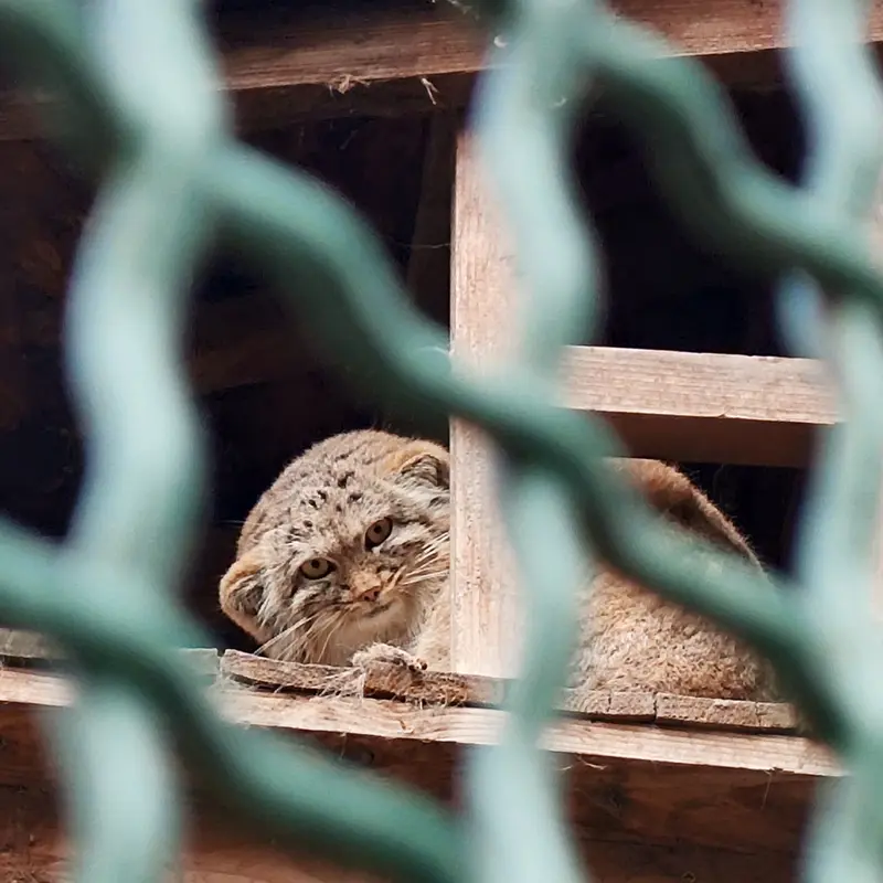 Фотография Люси в Будапештском Зоопарке
