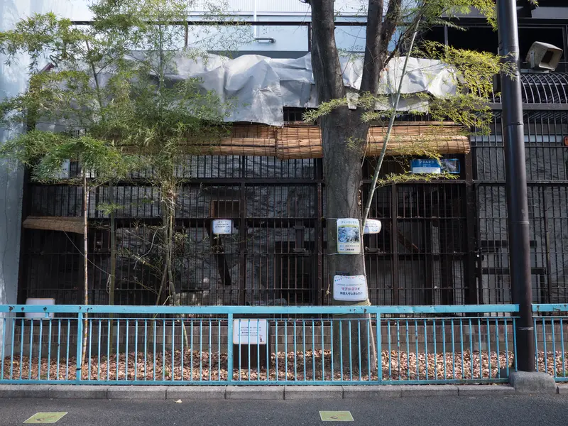 Фотография с манулом в Зоопарке Ногеяме