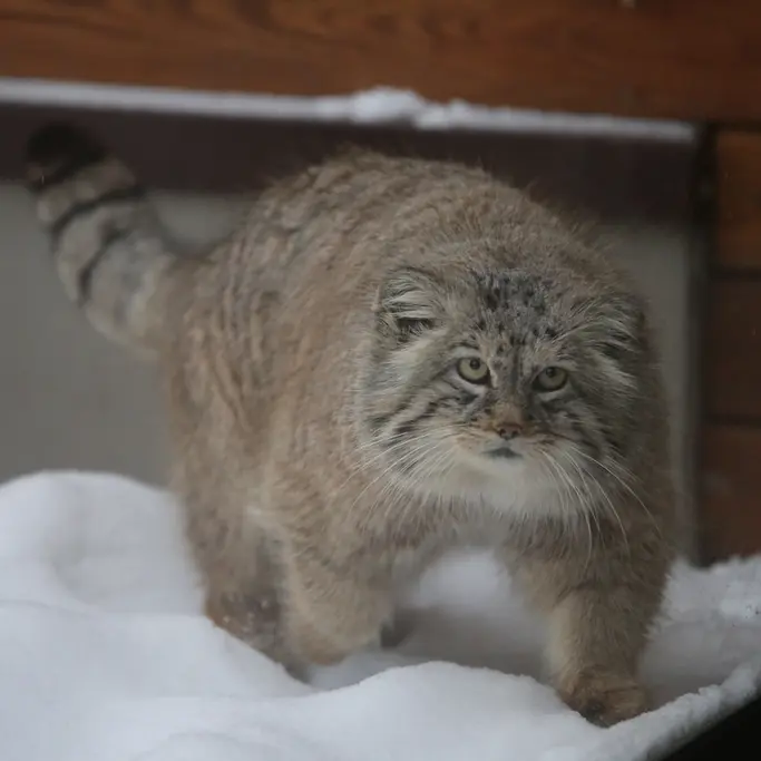 Фотография Мануэля в Гданском Зоопарке