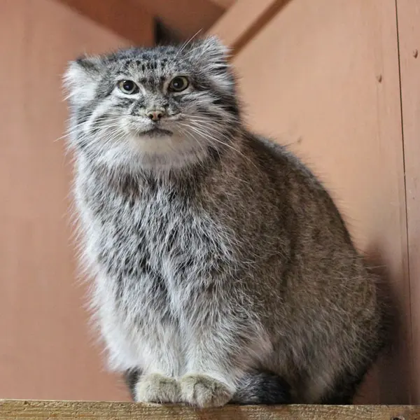Фотография Мари в Детском зоопарке Сайтама