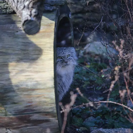 Фотография Зарины в Вроцлавском Зоопарке