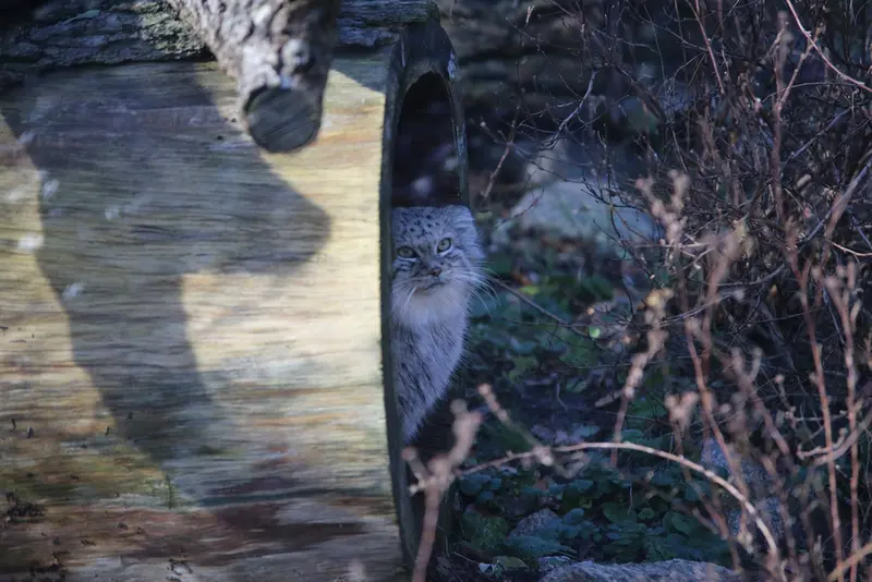 Фотография Зарины в Вроцлавском Зоопарке