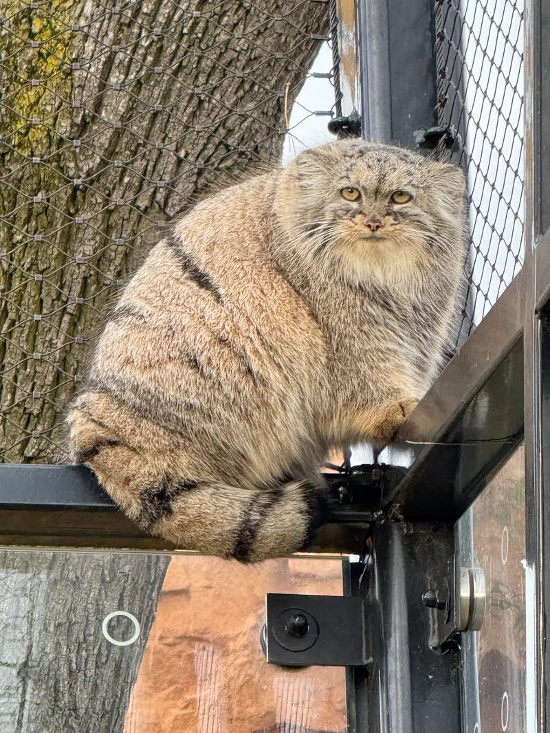 Фотография Принцессы в Пражском Зоопарке